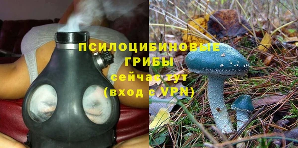 амф Нея